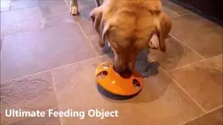 UFO Ultimate Feeding Object Slow Feeder by FLIPO