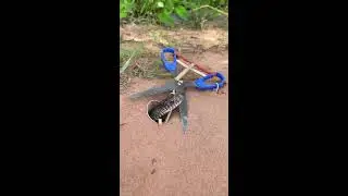 Latest simple and effective snake trap ideas 2025 #snake #animal #wildlife #shorts #trending #shorts