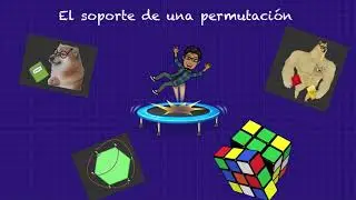 El soporte de una permutación
