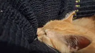 cone break