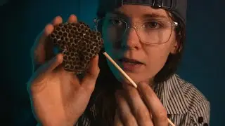 ASMR trypophobia checkpoint