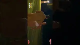 MILLA VS MUJDAT 🔞 ( PARTIE 1)