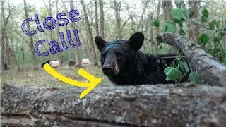 I ALMOST TOUCHED A BEAR's NOSE & BEAR HUNT GIVEAWAY DETAILS!!!