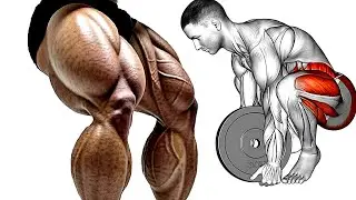 Effective Quads Hamstrings & Glutes Workout to Build Stronger Lower Body