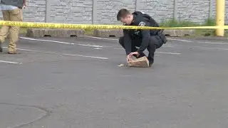 Shooting Investigation 107th Street South & Pacific Ave Parkland WA