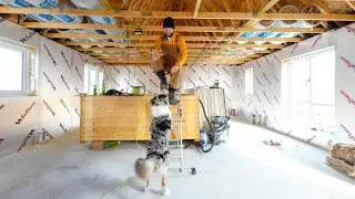 Final layers of insulation for our house build - and salvaging steps for the front door.