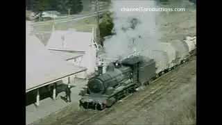 Shorts 320 NSW Branch Lines in the Early 1960s