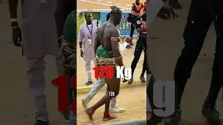 Comment ce g&eacute;ant est devenu une l&eacute;gende de la lutte au S&eacute;n&eacute;gal