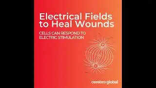 Electric Wound Healing  (Cerebro Global)