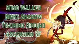 [Dragon Nest - Wind Walker] NSTG Ascension 5F, Cleared!