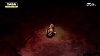 BTS live performance 