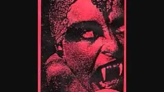 Macronympha - Polygraphic Revolution