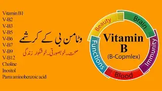 Vitamin B |  B-Complex | Sources,Functions,Deficiency |Wonders of vitamin B Urdu/Hindi | My Foodbook