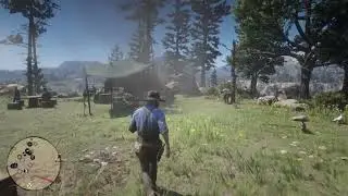 Red Dead Redemption 2 Dutch doesn't like being ignored