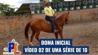 COMO ENSINAR ARCO REVERSO E LADEAR , Exencial para vaquejada 