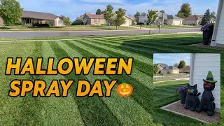 Опрыскивание газонов в стиле Хэллоуина 🎃 + Один из моих лучших газонов на данный момент