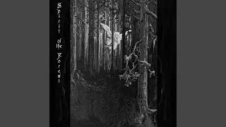Spirit of the Forest