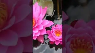 be tuong lam 4 tuoi