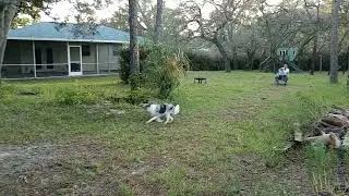 Fetch Machine pt 2