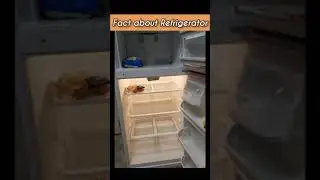 Interesting fact of Refrigerator#Facts#shorts