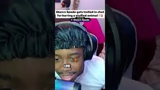 Chat Trolls For Loving Teddy Bears! #shorts #funny #twitchmoments  #twitchclips #stuffedanimals
