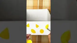 Diy organiger#shortvideo #youtube