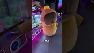 Farting Prank in a Capybara Costume Makes You Laugh @paradigmzone