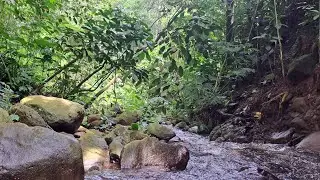 Restorative Sleep Tonight &mdash; Flowing Water Sounds for the Deepest Rest