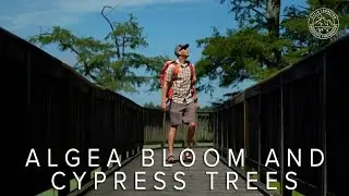 Summer Lake Photography Adventure | Tennessee Landscape Photography and Timelapse