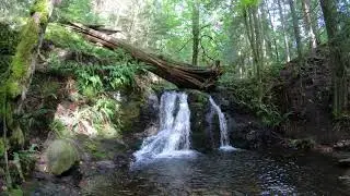 Orcas Island Hike