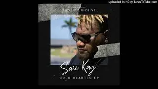 Case Close(2025) -Saii Kay Cold Hearted EP