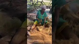 SURPRISING: How to Make Ropes from Coconut Covers! #Coconuts