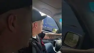 Mobbing through your city