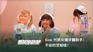 《馬友旅遊部》Sica 代班女僕牙醫助手！不安的芝娃娃！