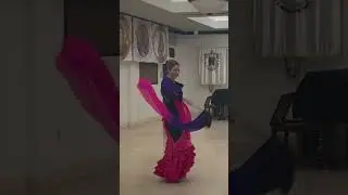 Stepflix Flamenco kits
