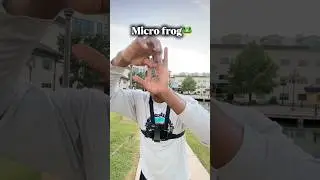 #frogfishing #bassfishinglures #pondfishing #bassfishingtips #bassfishingnation