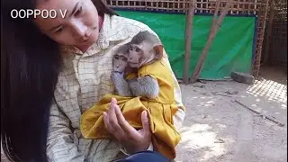 [ Feeling warm ]  Tiny Janny and shally hugging mom so sweet / she really love mom
