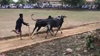 ماشاء اللہ