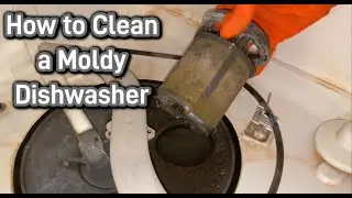 How I got my moldy dishwasher super clean