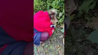 скоро узнаем, настоящие ли это опята)