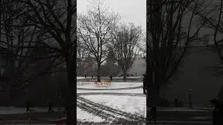 It's snowing on campus! #shorts