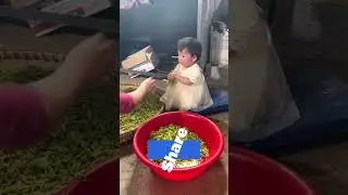 Oh my god this video is so funny. #dog #cat #man #woman #badboy #video#Donkey#crow#اسب#گربه#funny