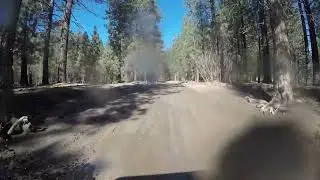 The Squeeze