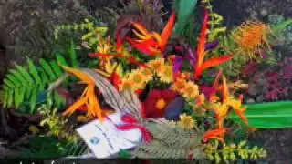 Eumundi Memorial Trees