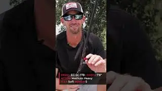 The BIG Crankin' Rod!  (Falcon Expert Toledo Special)