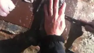 How to scale and skin a drummer fish