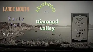 Diamond Valley fishing 2021
