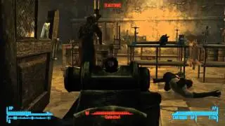 Fallout: New Vegas. When AP Rounds fail you...