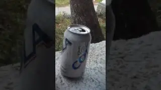 Bees see soda cans as flowers filled with sugar