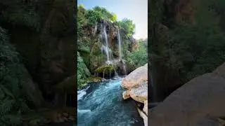 beautiful picnic point #shorts #short #picnicpoint
